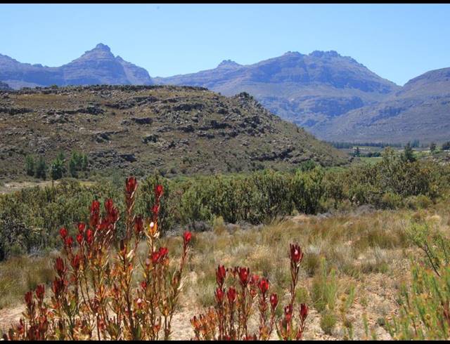 86HA FARM FOR SALE IN CERES RURAL